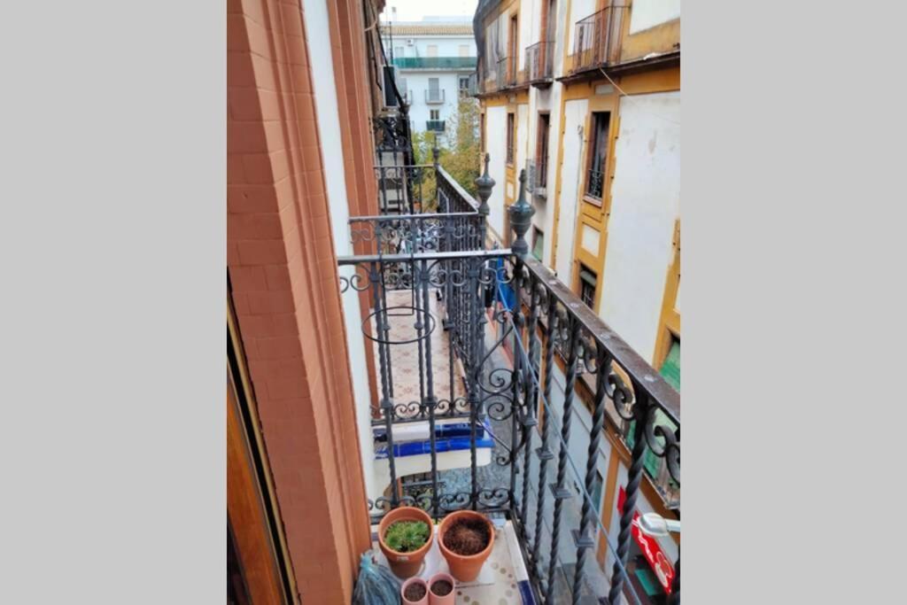 Appartement Santa Cruz Séville